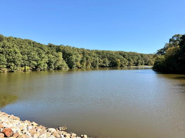 Land for sale in Lost Nation, Dixon