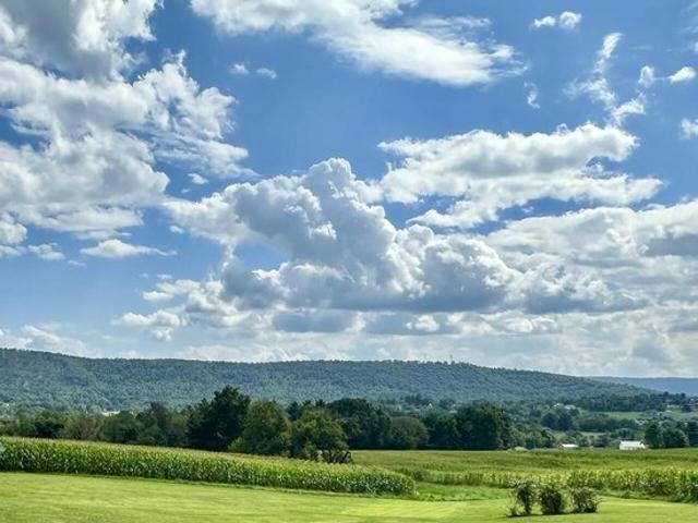 Land for sale in Elysburg, Ralpho Township