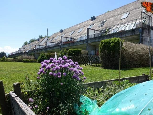 Wohnung mieten in En Sorémoulin, Châtel-Saint-Denis