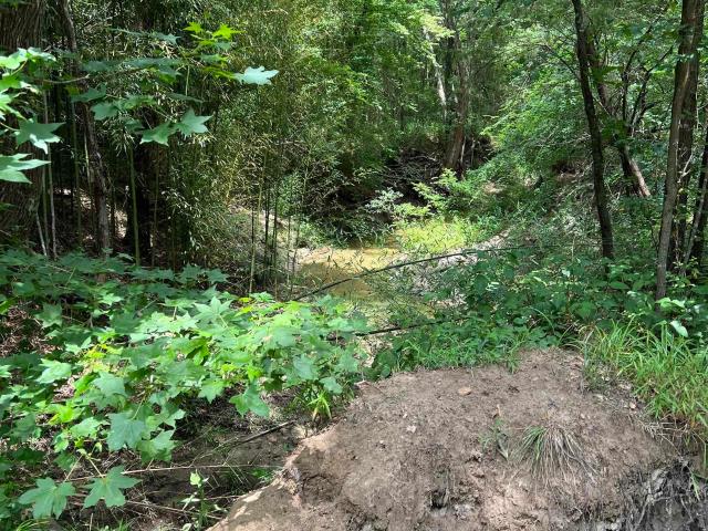 Land for sale in Franklin, Texas