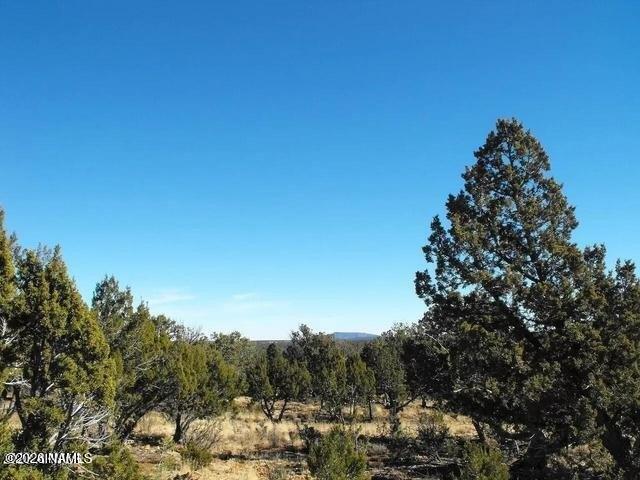 Land for sale in Happy Jack, Arizona