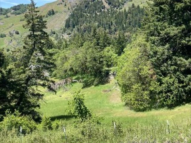 Land for sale in Humboldt, California