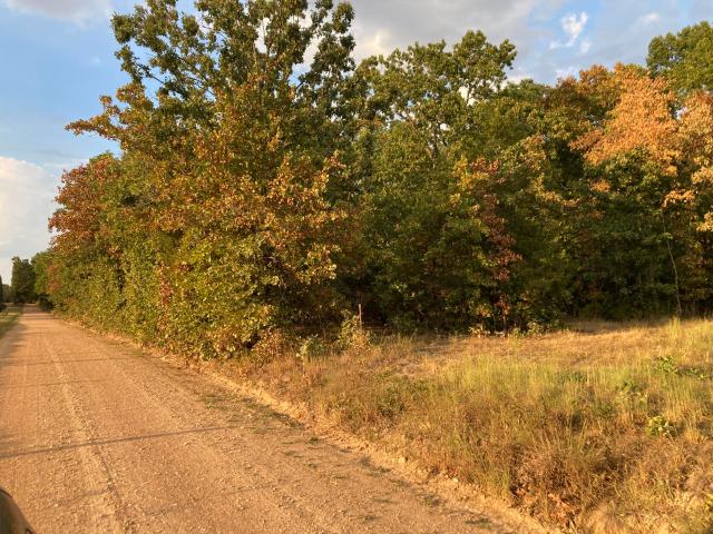 Land for sale in Norwood, Missouri