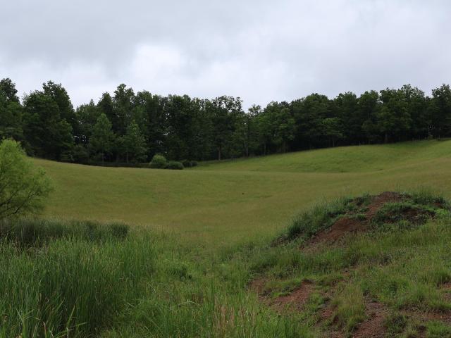 Land for sale in Wolfe, Kentucky