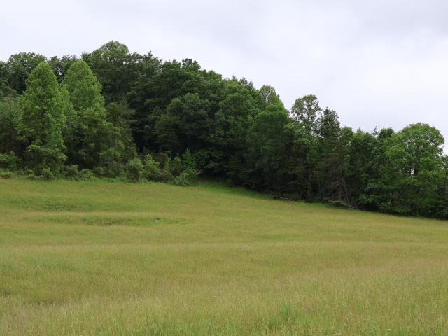 Land for sale in Wolfe, Kentucky