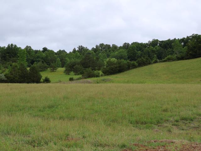 Land for sale in Wolfe, Kentucky