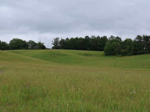 Land for sale in Wolfe, Kentucky