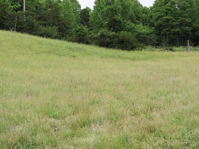 Land for sale in Wolfe, Kentucky