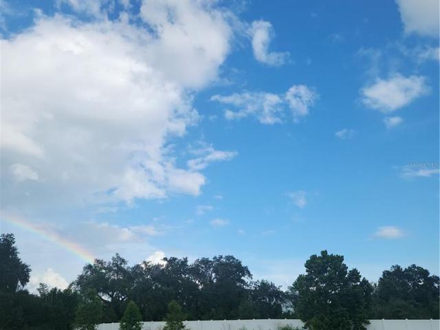 Land for sale in Zephyrhills, Florida