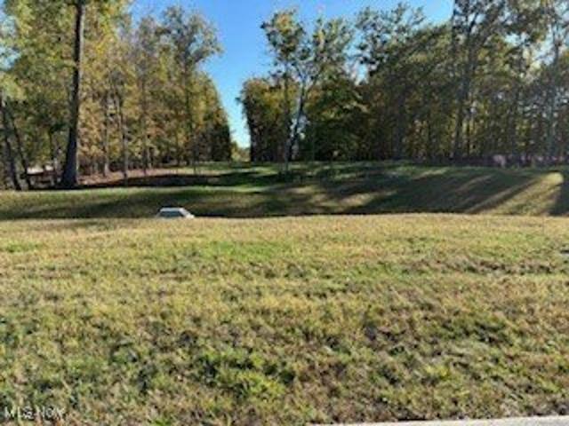 Land for sale in Medina, Medina County