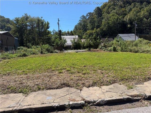 Land for sale in Holden, West Virginia