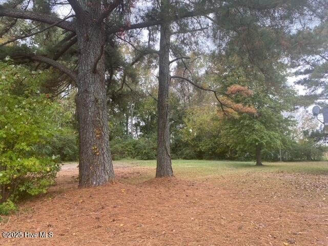 Land for sale in Robersonville, North Carolina