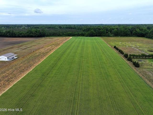 Land for sale in Dover, North Carolina