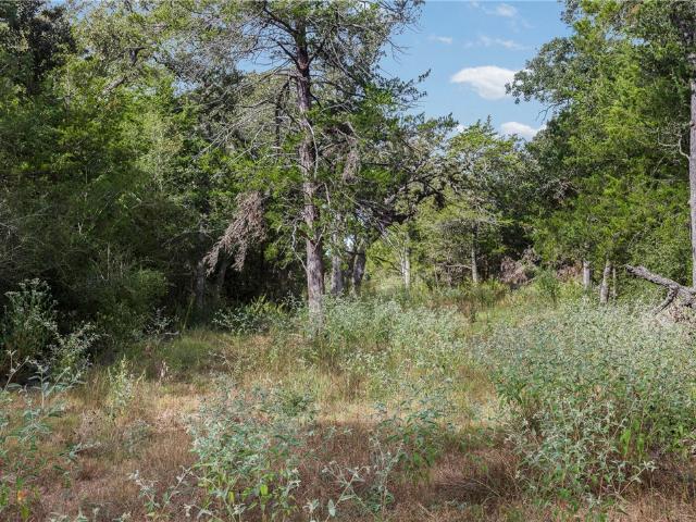 Land for sale in Lyons, Texas