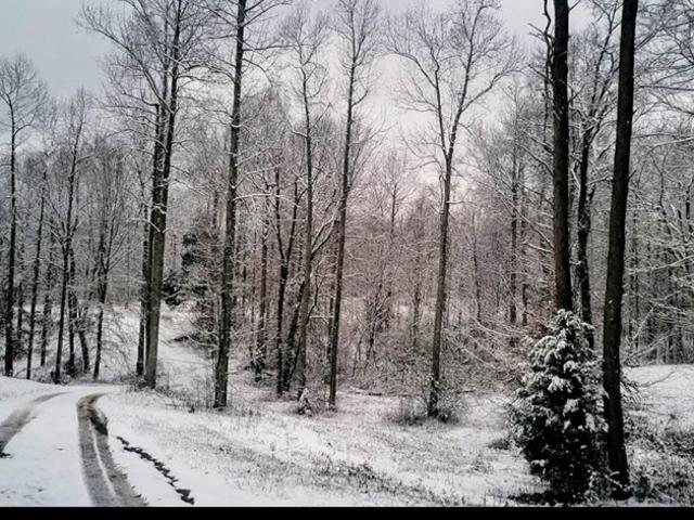 Land for sale in Tennessee
