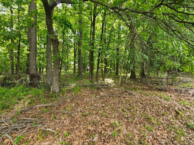 Land for sale in Mount Vernon, Illinois