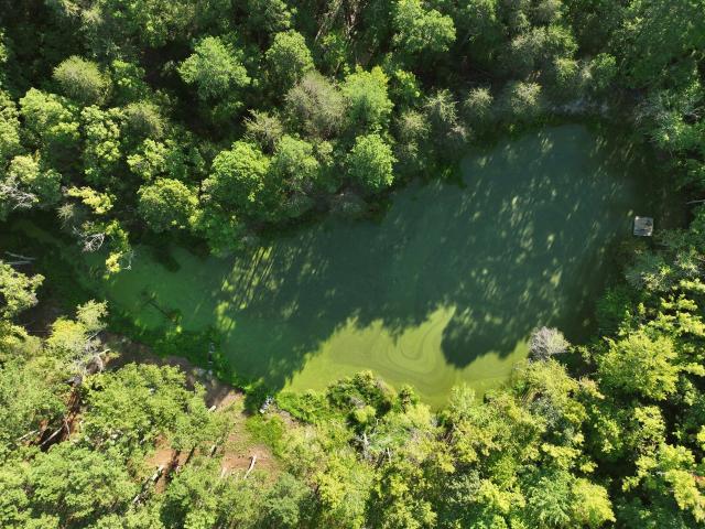 Land for sale in Pleasant Grove, Burlington
