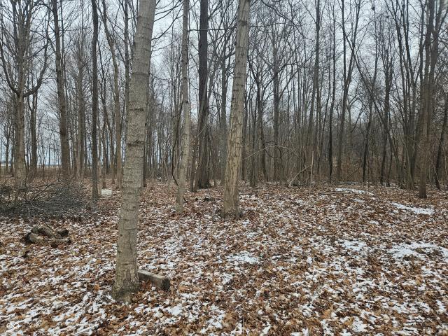 Land for sale in Tipton, Indiana