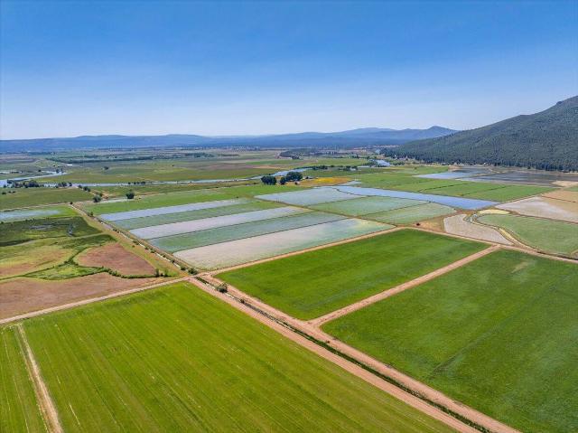 House for sale in Shasta, California
