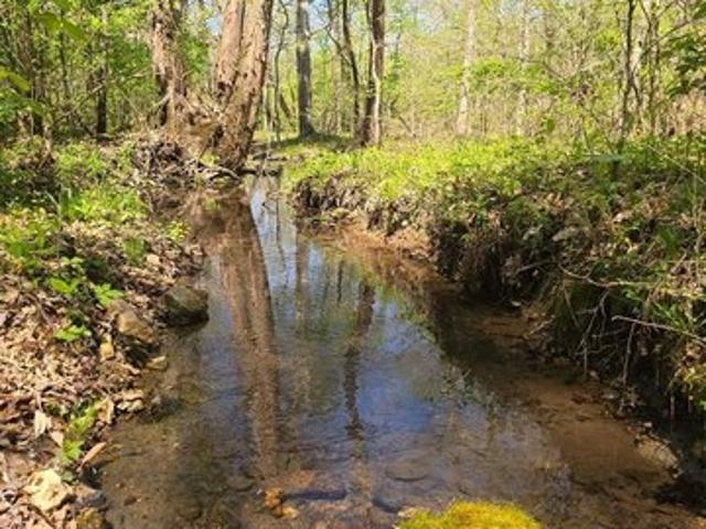 Land for sale in Tennessee