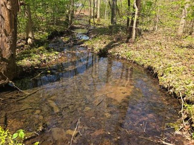 Land for sale in Tennessee