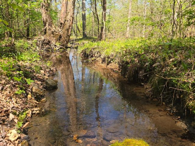 Land for sale in Tennessee