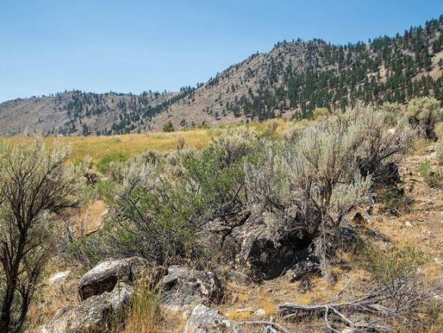 Land for sale in Doyle, California
