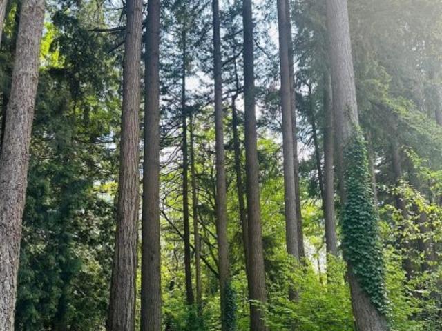 Property for sale in Surrey, British Columbia