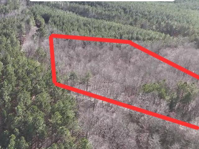 Land for sale in Ripley, Mississippi