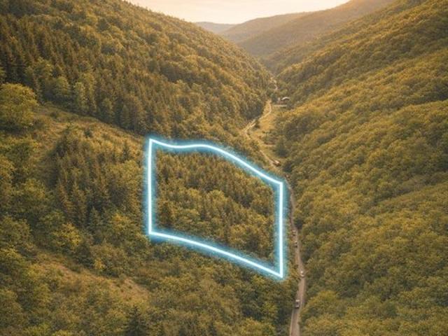 Land for sale in Sylva, Jackson County