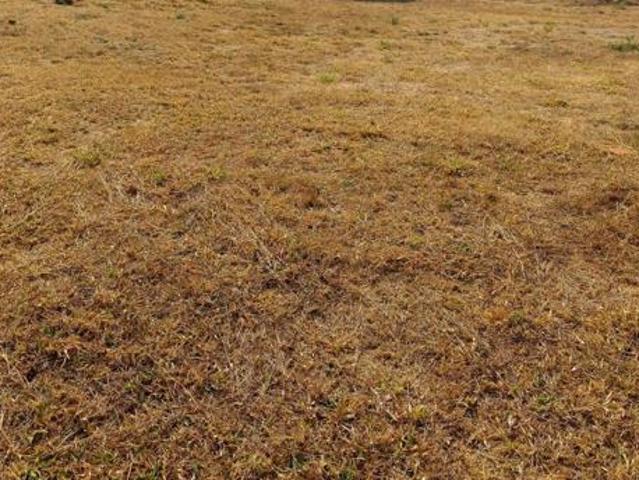 Land for sale in Seshego, Limpopo