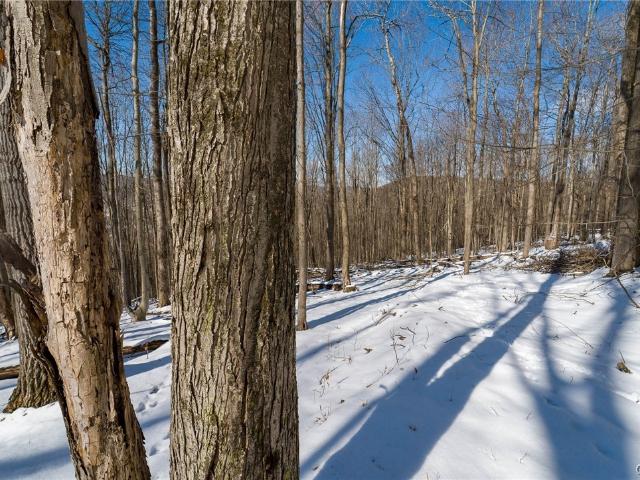 Land for sale in New York