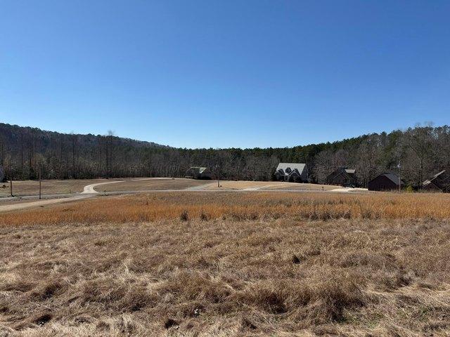 Land for sale in Arley, Alabama