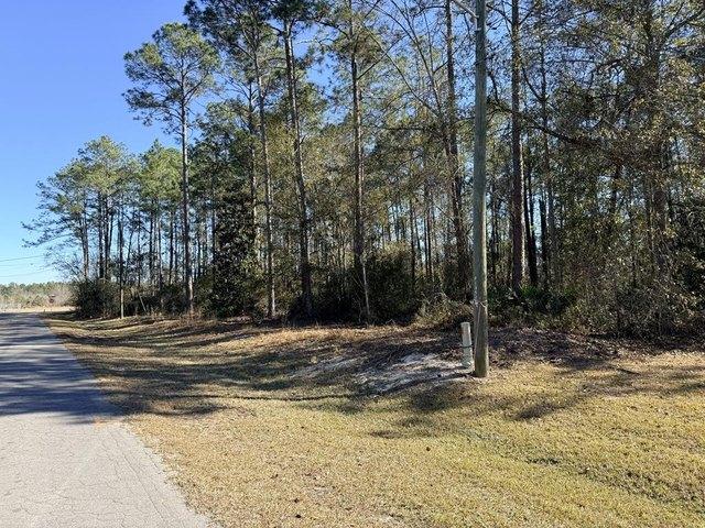Land for sale in Baxley, Georgia