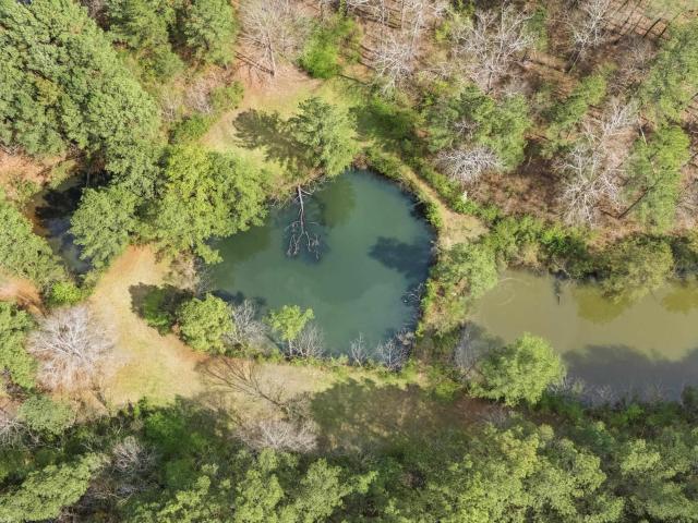 House for sale in Brookside, Alabama
