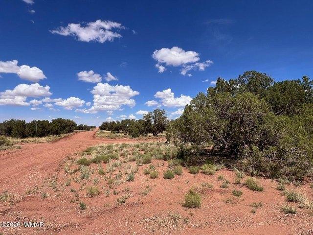Land for sale in Navajo, Arizona