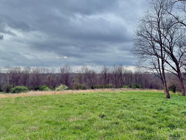 Land for sale in Burlington, Kentucky