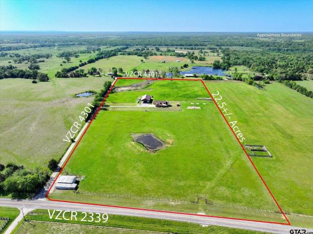 House for sale in Ben Wheeler, Texas