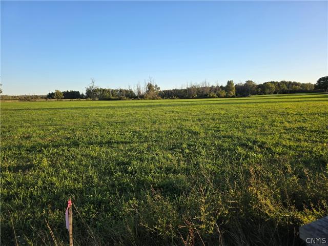 Land for sale in Town of Verona, Oneida County