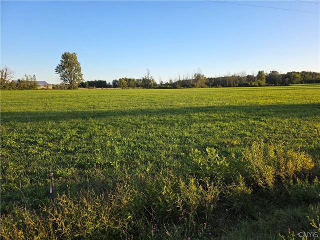 Land for sale in Town of Verona, Oneida County