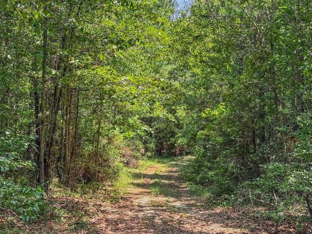 Land for sale in Clayton, Alabama