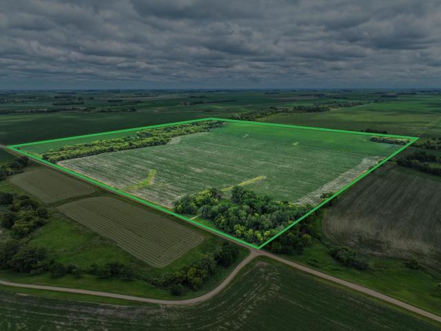 Land for sale in Lamberton, Minnesota