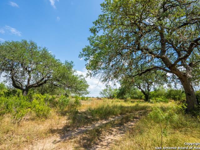 Farm for sale in D Hanis, Texas