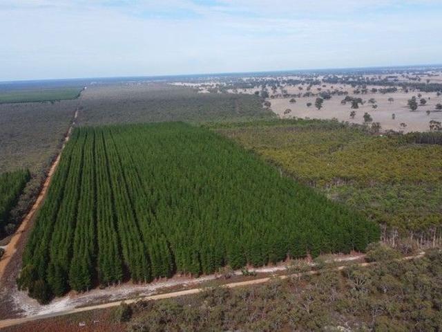 Cottage for sale in Edenhope, Victoria