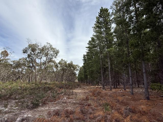 Property for sale in Edenhope, Victoria