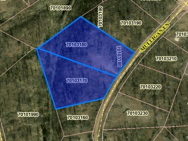 Land for sale in Fort Garland, Colorado