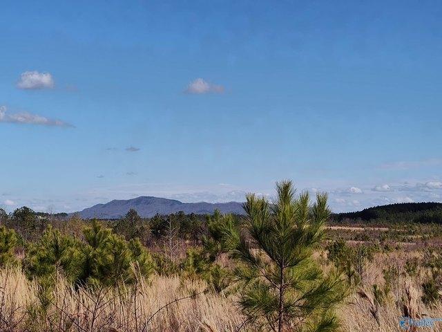 Land for sale in Etowah, Alabama