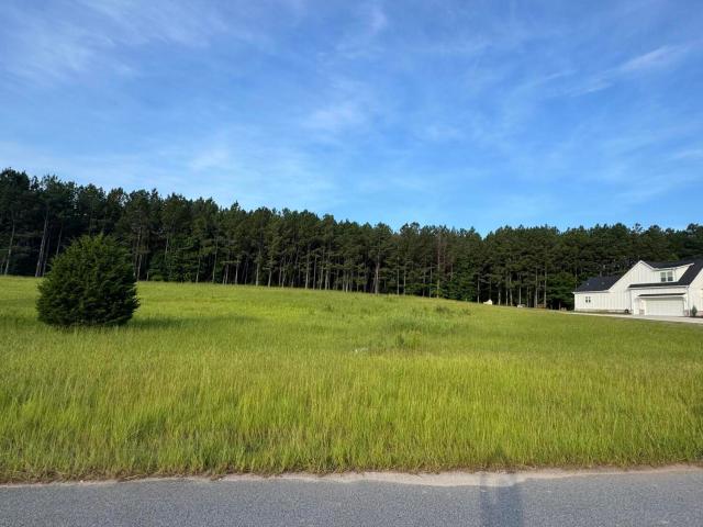 Land for sale in Appling, Georgia