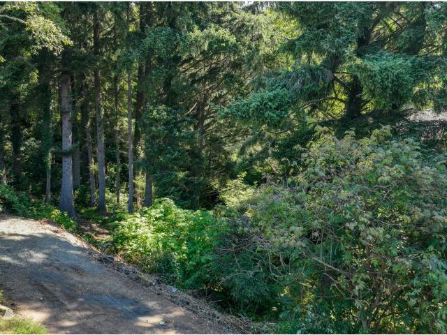 Land for sale in Oregonia