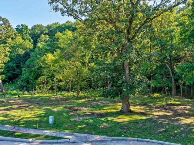 Land for sale in Ottawa, Illinois